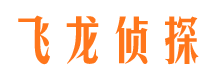 文安寻人公司